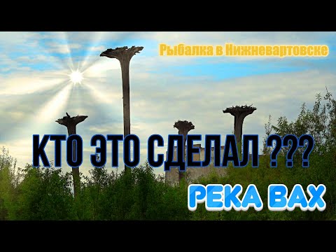 Видео: Рыбалка в Нижневартовске, р.Вах