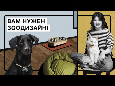 Видео: Дизайн для животных | Что это такое и зачем учитывать интересы питомцев при обустройстве жилья