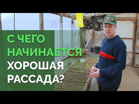 Видео: Выбор почвы и посев семян | Технология изобилия