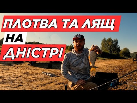 Видео: 🎣 Активна риболовля на Дністрі | Підлящ і плотва на фідер + Як правильно маркеритись
