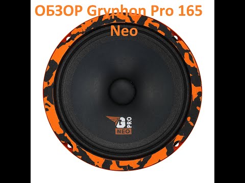 Видео: Купил Gryphon Pro 165 Neo от DL Audio для установки в Toyota bB