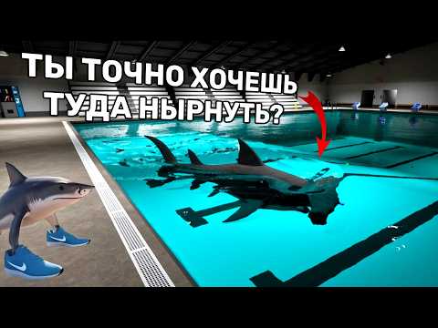 Видео: ТАЛАССОФОБАМ НЕ СМОТРЕТЬ | SHARKS AND MINNOWS