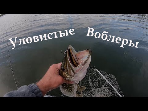 Видео: Недорогие  УЛОВИСТЫЕ Воблеры  на Щуку. Твичинг воблеров. Рыбалка на щуку с лодки. Спиннинг