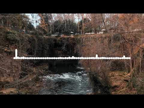 Видео: ТИМУР ХИДИРБЕКОВ  - И ЧАДЕ 2024