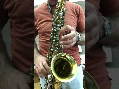 Видео: Проданово сакс – П  Ралчев