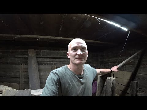 Видео: КУПИЛ ХУТОР в ЛЕСУ на КРАЮ БОЛОТА. ГЛАЗА БОЯТСЯ РУКИ ДЕЛАЮТ. №208