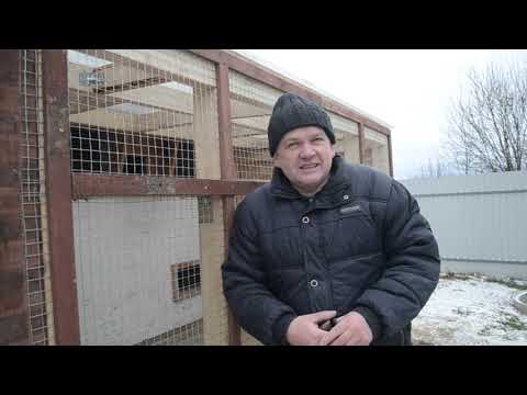 Видео: Я это сделал.Вольер  для голубе.I did it.Pigeon enclosure