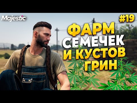 Видео: ПУТЬ НОВИЧКА С НУЛЯ, ФАРМ СЕМЕЧЕК И КУСТОВ ГРИН НА MAJESTIC RP / GTA 5 RP.  ПРОМО - TAXI