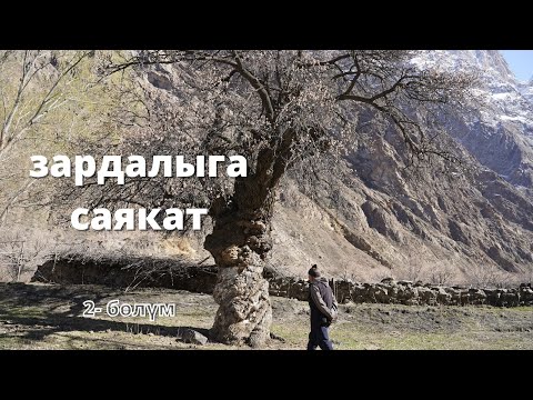 Видео: ЗАРДАЛЫГА САЯКАТ 2 бөлум  600 ЖЫЛДЫК ӨРҮК