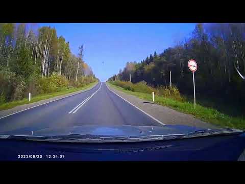 Видео: Осенняя дорога Великий Устюг- Красавино