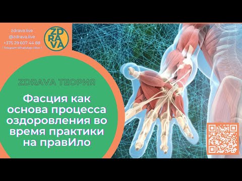 Видео: Фасция как основа процесса оздоровления во время практики на правИло (все секреты фасциальной ткани)