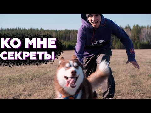 Видео: Эти советы помогут каждому | Как научить ЩЕНКА КОМАНДЕ КО МНЕ