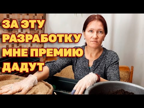 Видео: БИОРАЗЛАГАЕМЫЕ СТАКАНЧИКИ ДЛЯ РАССАДЫ/ ВЫСАЖИВАЮ РАССАДУ СО СТАКАНЧИКОМ@obovsemsmarusya