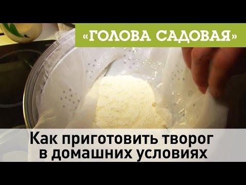 Видео: Голова садовая - Как приготовить творог в домашних условиях