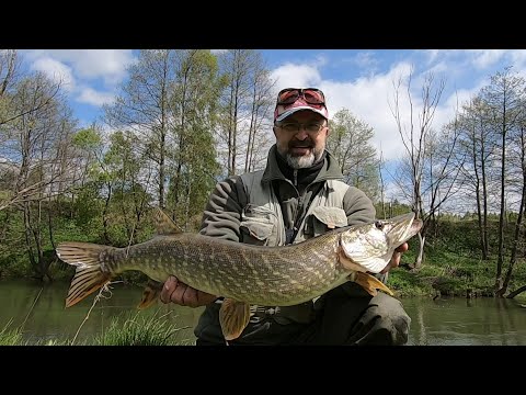 Видео: Трофей за трофеем с одной точки!!! Щуке майские морозы ни почём! Малая река.