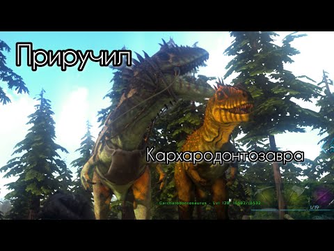 Видео: Приручение Carcharodontosaurus и обзор в ARK Ultimate Mobile Edition 