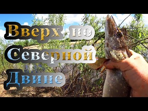 Видео: Вверх по Северной Двине | Рыбалка 18+