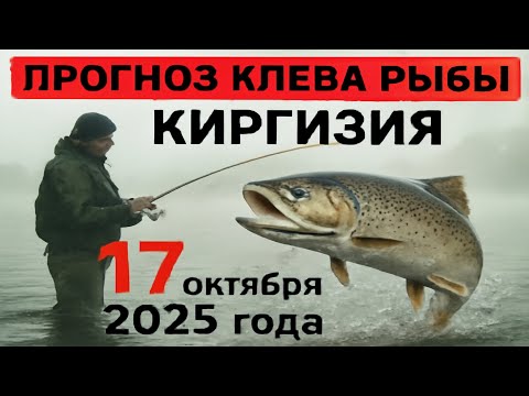 Видео: ПРОГНОЗ КЛЁВА в Кыргызстане на 17 октября 2025 года Бросай все и на рыбалку!