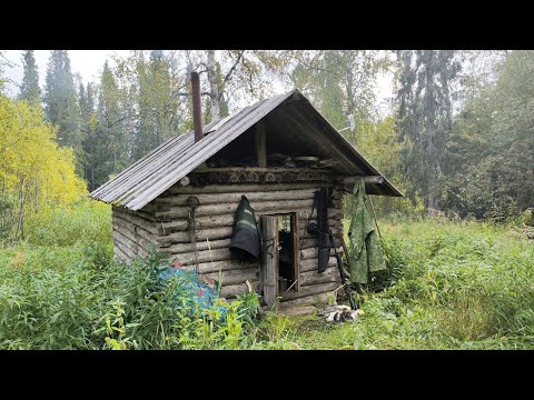 Видео: ЕДУ В ТАЙГУ ЗА ДЯДЕЙ / ОН ТАМ ОДИН ЖИВЁТ НЕСКОЛЬКО ДНЕЙ / ПРОБУЕМ ПОЙМАТЬ РЫБУ НА СКОРОСОЛКУ.