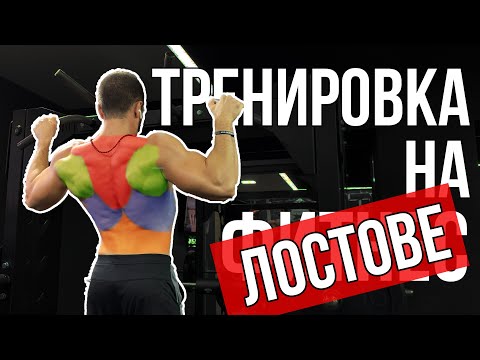 Видео: Тренировка На Лостове / Моята Street Fitness тренировка