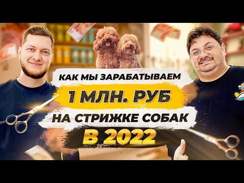 Видео: Бизнес на СТРИЖКЕ собак. Как открыть груминг салон? Бизнес идеи 2022
