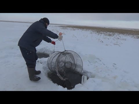 Видео: МОРДА ПРОТИВ РОТАНА
