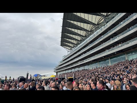 Видео: Честные дни пантинга – День чемпионов