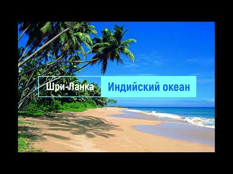 Видео: Шри-Ланка часть 1