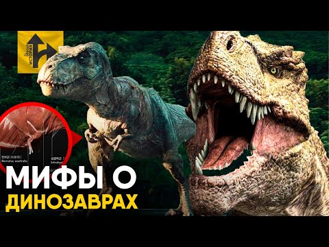 Видео: Мифы о Динозаврах в которые мы верим.