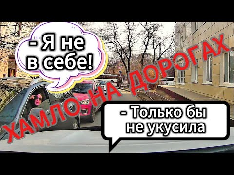 Видео: ХАМЛО и БЫДЛО на дорогах. Воронеж. выпуск №68 + Видосы от подписчиков. Апрель 2025