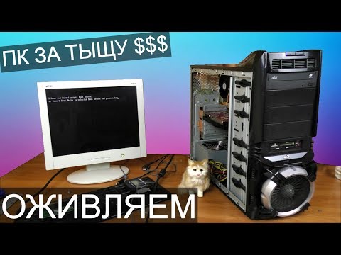 Видео: Оживляем ПК 2008-ого за ТЫЩУ баксов - Компобудни #27