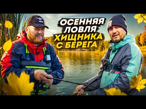 Видео: ОСЕННЯЯ РЫБАЛКА. ЛОВЛЯ ЩУКИ С БЕРЕГА