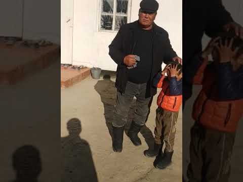 Видео: тоголок молдо жол кырсыгы(2)