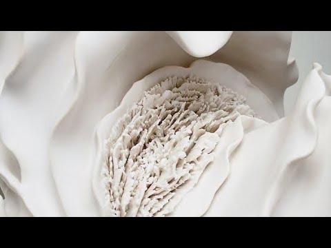 Видео: Вся правда про йони-хилинг