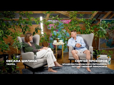 Видео: Профессия художника: стезя, труды и "руки бога"