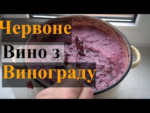 Видео: Красное полусладкое вино из винограда. Как сделать домашнее вино из синего винограда.