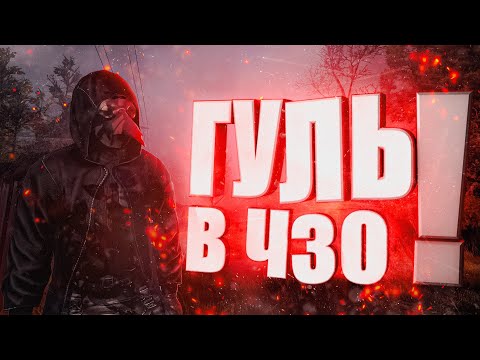 Видео: НЕМОЙ ГУЛЬ в DAYZ [ Stalker RP ]