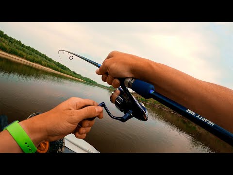 Видео: РУКИ УСТАЛИ от МОЩНЫХ поклёвок! Жор хищника на реке. Ловля судака, щуки, окуня.