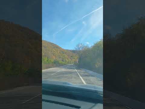 Видео: autumn landscape#travel #bulgaria #българия #nature #automobile