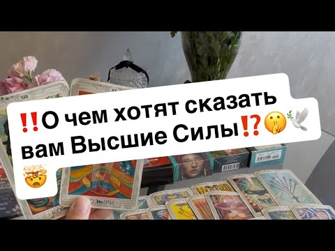 Видео: ‼️О чем хотят предупредить вас Высшие силы⁉️🕊️🤫💌