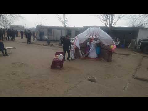 Видео: Беташар суткент