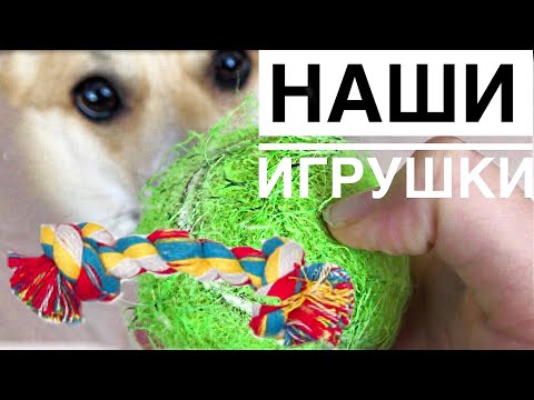 Видео: Игрушки для собак/ЧТО С НИМИ СТАЛО!