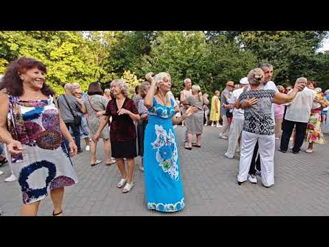 Видео: 25.08.24г..."Первый Поцелуй"... Голубые Гитары... звучит на танцполе в Гомеле...