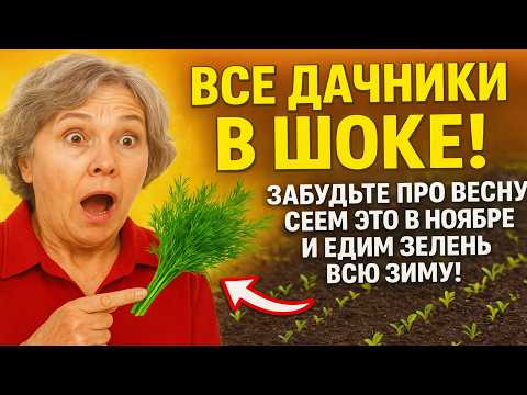Видео: ВСЕ ДАЧНИКИ В ШОКЕ! Забудьте про весну: сеем ЭТО в ноябре и едим зелень всю зиму!