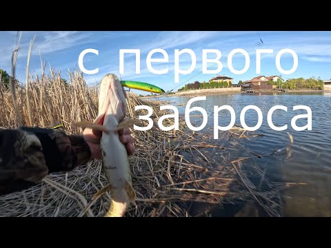 Видео: ЩУКА на ВОБЛЕР.  С Первого Заброса. Воблер Jackall Rerange 130SP.