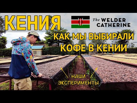 Видео: Кения || Как мы выбирали кофе в Кении  || Какой кофе из Кении будет в Сварщице в этом году