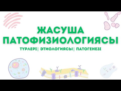 Видео: ЖАСУША ПАТОФИЗИОЛОГИЯСЫ - этиологиясы, патогенезі, түрлері