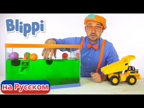 Видео: Утонет или всплывёт? | Блиппи на Русском | Изучай этот Мир вместе с Блиппи | Blippi
