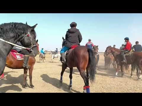 Видео: Омур акенин улагы зор болду