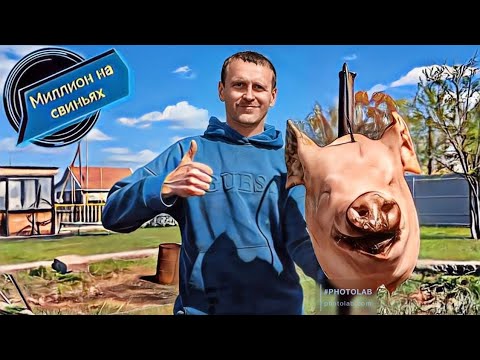 Видео: Забой 300 килограммовой свинки!
